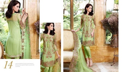 charizma-signora-winter-chiffon-dresses-collection-2016-for-women-10