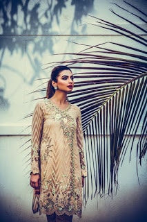 nadia farooqui ready to wear women fall winter dresses Collection 2018-19-12