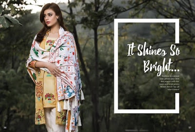 Al-Zohaib-wintry-breeze-embroidered-shawl-collection-2017-for-women-8
