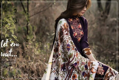 Al-Zohaib-wintry-breeze-embroidered-shawl-collection-2017-for-women-10