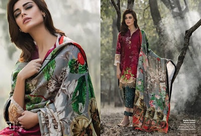 Al-Zohaib-wintry-breeze-embroidered-shawl-collection-2017-for-women-12