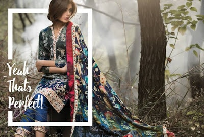 Al-Zohaib-wintry-breeze-embroidered-shawl-collection-2017-for-women-14