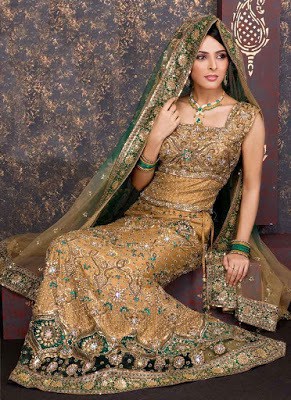 Top-indian-designer-choli-and-bridal-lehenga-blouse-designs-2016-17-11