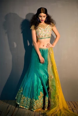 Top-indian-designer-choli-and-bridal-lehenga-blouse-designs-2016-17-19