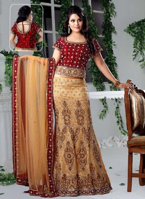 Top-indian-designer-choli-and-bridal-lehenga-blouse-designs-2016-17-10