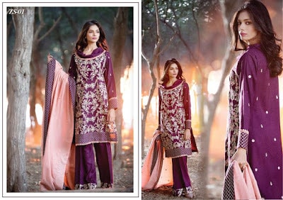 areeba-saleem-new-embroidered-designs-winter-dresses-2017-by-zs-textiles-16