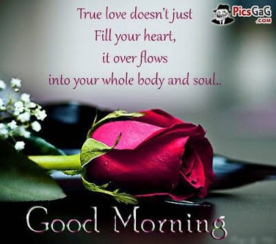 True love doesn't just fill your heart Good Morning