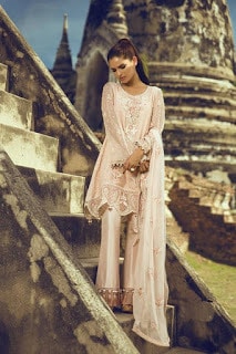 tena-durrani-women-formal-wear-dresses-collection-2017-by-al-zohaib-10