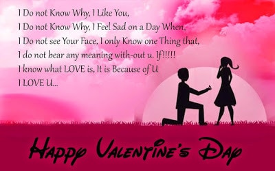 unique-happy-valentines-day-special-messages-for-my-girlfriend-2