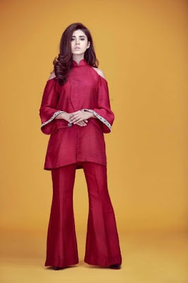 ayesha-somaya-spring-couture-pantsuit-dresses-collection-2017-for-women-11