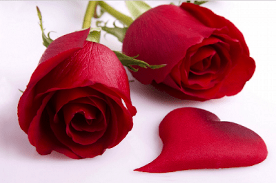 sweet valentines greetings messages for girlfriend