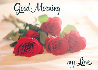 Sweet good morning love messages with flower Images