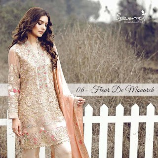 latest-serene-premium-luxury-chiffon-dresses-2017-for-women-5