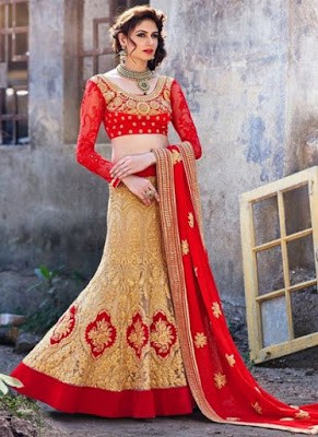 chaniya choli blouse designs