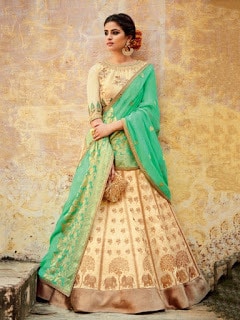 Perfect-Indian-mermaid-or-fish-cut-lehenga-designs-choli-fashion-11