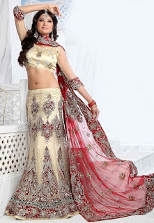 Perfect-Indian-mermaid-or-fish-cut-lehenga-designs-choli-fashion-3