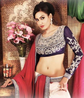 Top-blouse-designs-pattern-for-lehenga-choli-for-woman-4