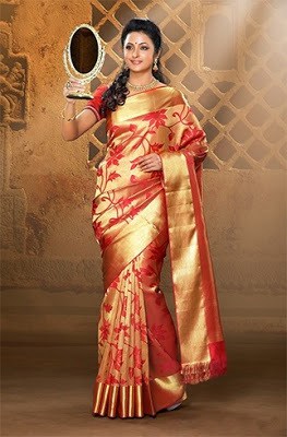 Stylish-indian-embroidered-bridal-saree-2017-for-brides-12