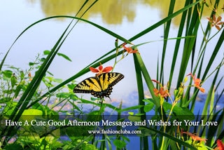Have-a-cute-good-afternoon-messages-and-wishes-for-your-love