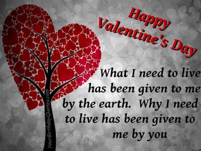 Sweet Valentine Wishes And Quotes Messages For Boyfriend And