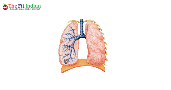 Bronchitis reason for chest congestion