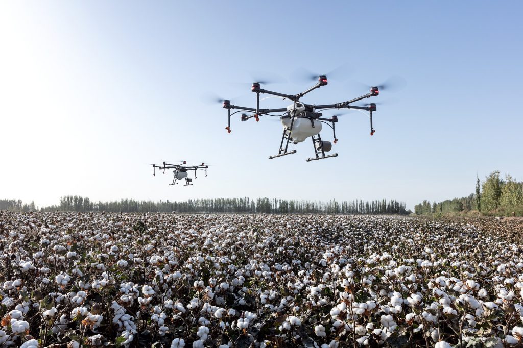 Spraying cotton