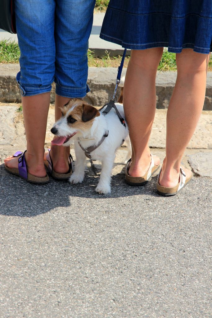 Birkenstock sandals